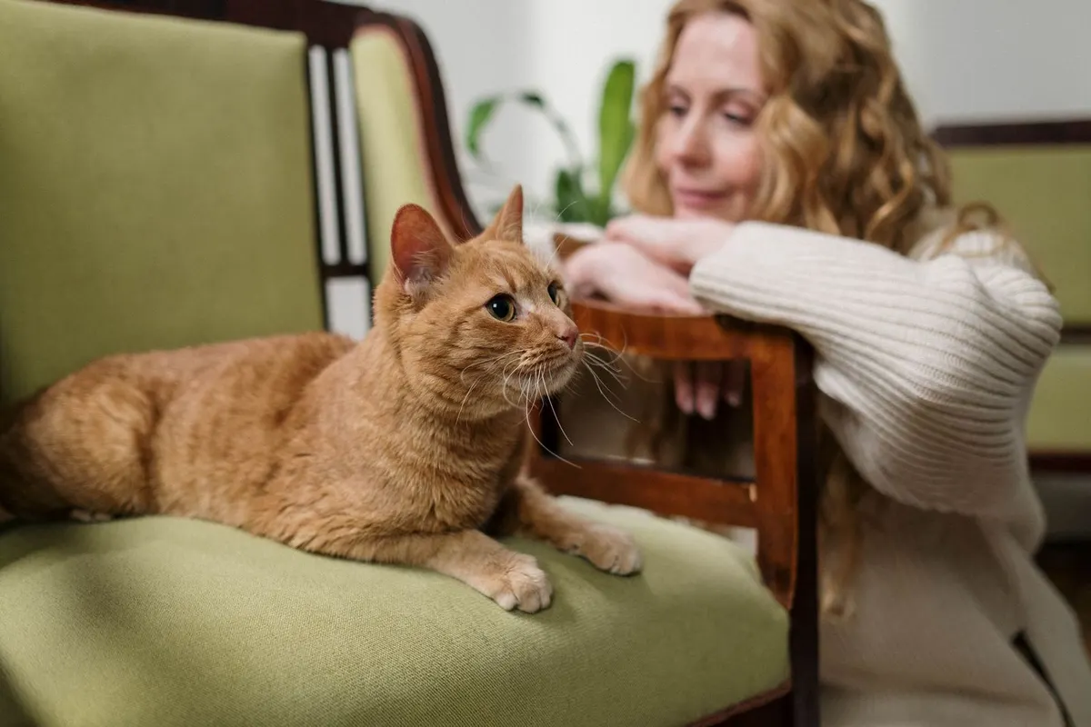 Gato atigrado naranja echado en un sillón mientras su dueña lo mira