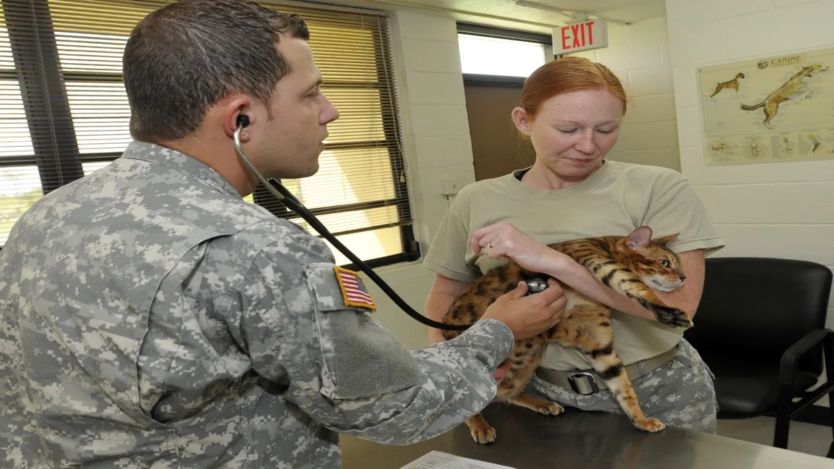 Personale veterinario che controlla il tracciato elettrocardiografico di un gatto in clinica